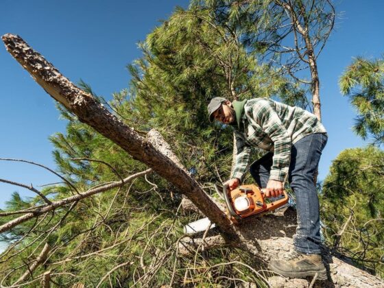 low-angle-shot-young-caucasian-man-cutting-tree-trunk-with-chainsaw