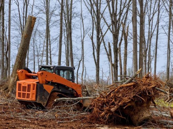 tree-clearing-housing-preparation-land-new-residential-development