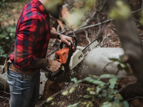 young-adult-lumberjack-logger-working-woods-with-chainsaw